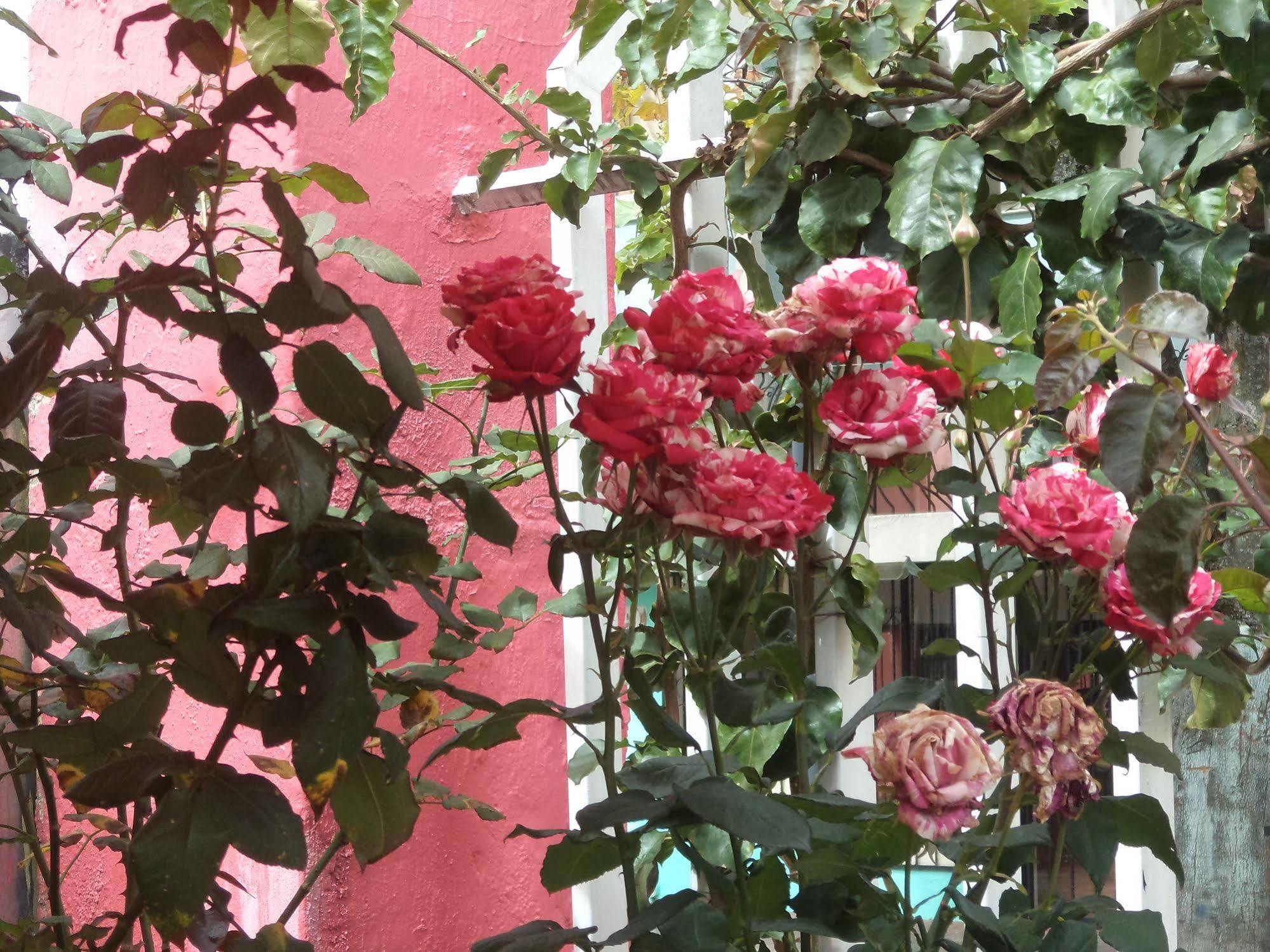 Hostal Imperial Quito Exterior photo